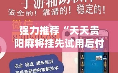 强力推荐“天天贵阳麻将挂先试用后付款”(免费)开挂辅助教学(最新辅助开挂教程)