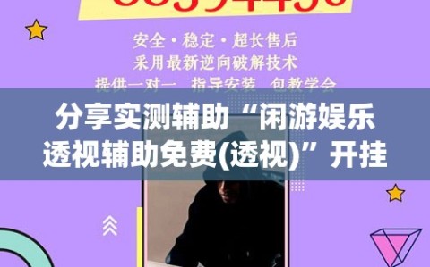 分享实测辅助“闲游娱乐透视辅助免费(透视)”开挂辅助脚本+详细开挂安装教程