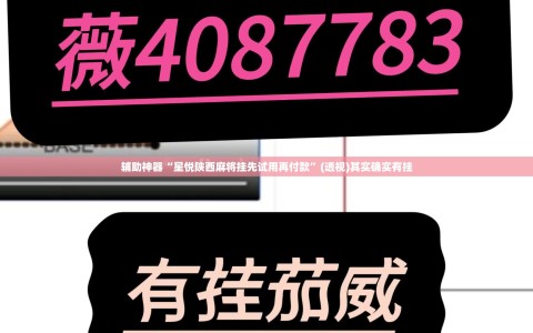 辅助神器“星悦陕西麻将挂先试用再付款”(透视)其实确实有挂