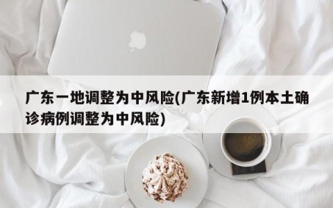 广东一地调整为中风险(广东新增1例本土确诊病例调整为中风险)