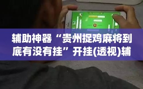 辅助神器“贵州捉鸡麻将到底有没有挂”开挂(透视)辅助神器