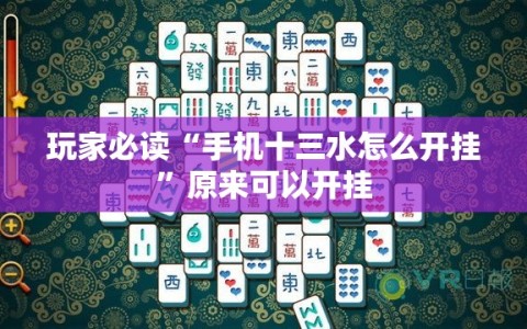 玩家必读“手机十三水怎么开挂”原来可以开挂