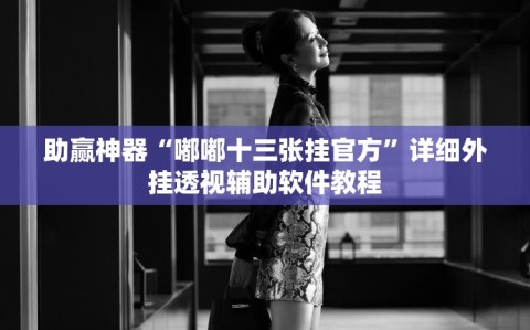 助赢神器“嘟嘟十三张挂官方”详细外挂透视辅助软件教程