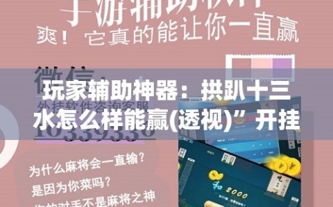 玩家辅助神器：拱趴十三水怎么样能赢(透视)”开挂辅助脚本+详细开挂安装教程