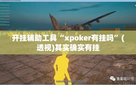 开挂辅助工具“xpoker有挂吗”(透视)其实确实有挂