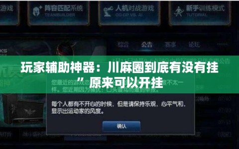玩家辅助神器：川麻圈到底有没有挂”原来可以开挂