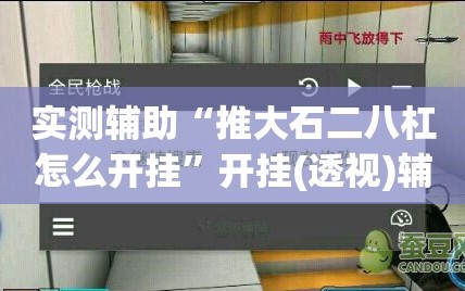 实测辅助“推大石二八杠怎么开挂”开挂(透视)辅助教程