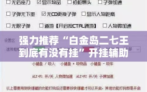 强力推荐“白金岛二七王到底有没有挂”开挂辅助脚本+详细开挂安装教程