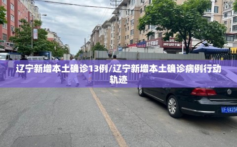 辽宁新增本土确诊13例/辽宁新增本土确诊病例行动轨迹