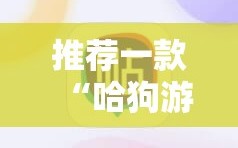 推荐一款“哈狗游戏十三道辅助”详细开挂教程
