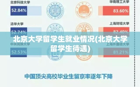 北京大学留学生就业情况(北京大学留学生待遇)