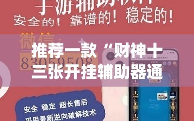 推荐一款“财神十三张开挂辅助器通用版”开挂(透视)辅助神器