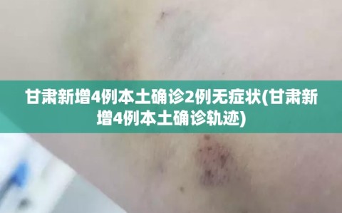 甘肃新增4例本土确诊2例无症状(甘肃新增4例本土确诊轨迹)