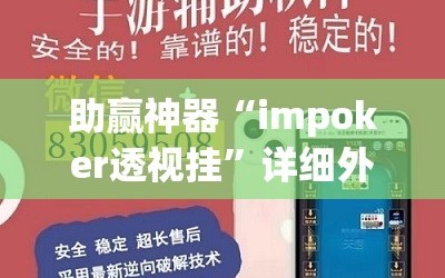 助赢神器“impoker透视挂”详细外挂透视辅助软件教程