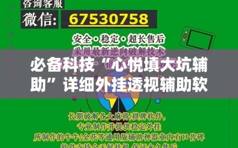 必备科技“心悦填大坑辅助”详细外挂透视辅助软件教程