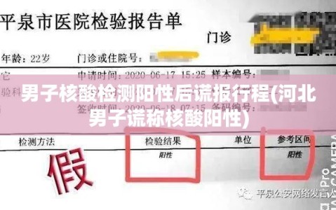男子核酸检测阳性后谎报行程(河北男子谎称核酸阳性)