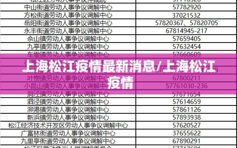 上海松江疫情最新消息/上海松江 疫情