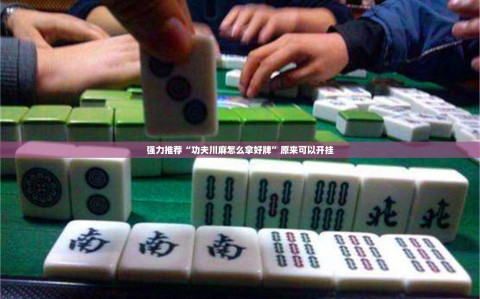 强力推荐“功夫川麻怎么拿好牌”原来可以开挂