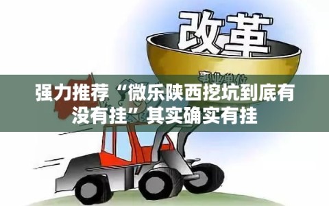 强力推荐“微乐陕西挖坑到底有没有挂”其实确实有挂