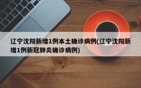 辽宁沈阳新增1例本土确诊病例(辽宁沈阳新增1例新冠肺炎确诊病例)