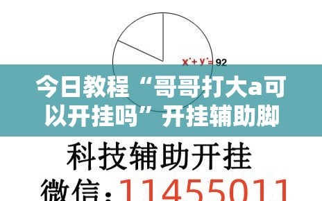 今日教程“哥哥打大a可以开挂吗”开挂辅助脚本+详细开挂安装教程