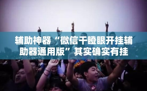 辅助神器“微信干瞪眼开挂辅助器通用版”其实确实有挂