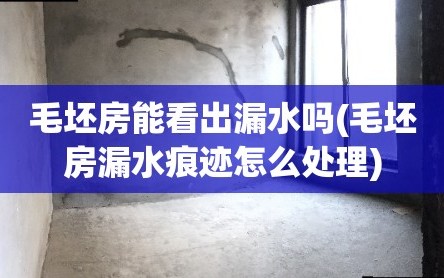 毛坯房能看出漏水吗(毛坯房漏水痕迹怎么处理)
