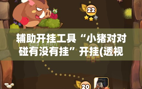 辅助开挂工具“小猪对对碰有没有挂”开挂(透视)辅助神器
