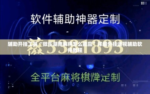 辅助开挂工具“微乐湖南麻将怎么能赢”详细外挂透视辅助软件教程