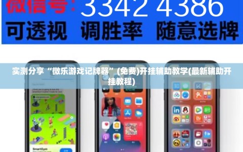 实测分享“微乐游戏记牌器”(免费)开挂辅助教学(最新辅助开挂教程)