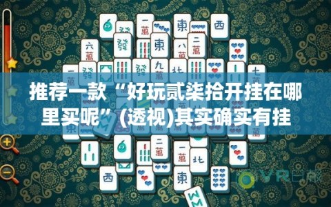 推荐一款“好玩贰柒拾开挂在哪里买呢”(透视)其实确实有挂