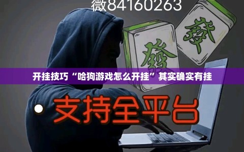 开挂技巧“哈狗游戏怎么开挂”其实确实有挂