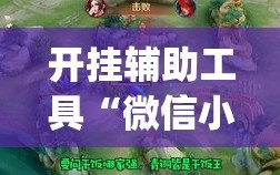 开挂辅助工具“微信小程序微乐麻将怎么开挂”(透视挂)辅助下载教程