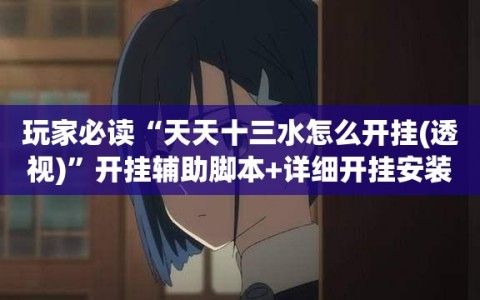 玩家必读“天天十三水怎么开挂(透视)”开挂辅助脚本+详细开挂安装教程