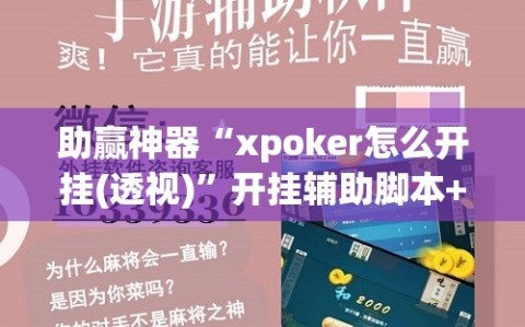 助赢神器“xpoker怎么开挂(透视)”开挂辅助脚本+详细开挂安装教程