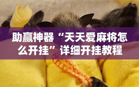 助赢神器“天天爱麻将怎么开挂”详细开挂教程