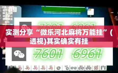 实测分享“微乐河北麻将万能挂”(透视)其实确实有挂