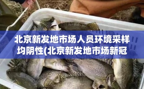 北京新发地市场人员环境采样均阴性(北京新发地市场新冠病毒)