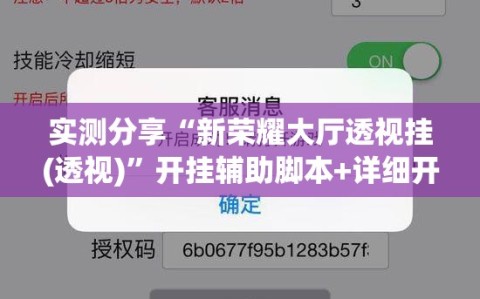 实测分享“新荣耀大厅透视挂(透视)”开挂辅助脚本+详细开挂安装教程