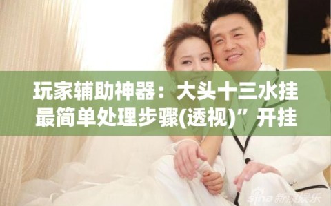 玩家辅助神器：大头十三水挂最简单处理步骤(透视)”开挂辅助脚本+详细开挂安装教程
