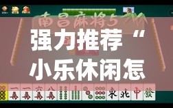 强力推荐“小乐休闲怎么开挂”开挂(透视)辅助教程