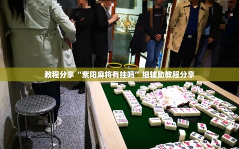 教程分享“紫阳麻将有挂吗”细辅助教程分享