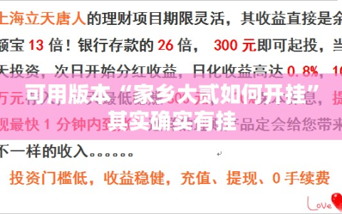 可用版本“家乡大贰如何开挂”其实确实有挂