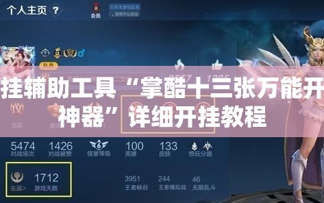 开挂辅助工具“掌酷十三张万能开挂神器”详细开挂教程
