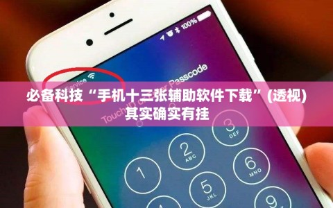 必备科技“手机十三张辅助软件下载”(透视)其实确实有挂