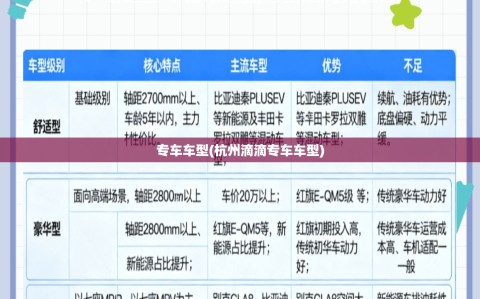 专车车型(杭州滴滴专车车型)