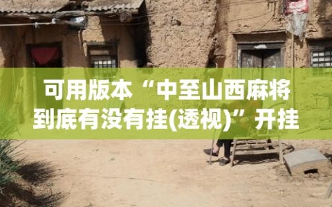 可用版本“中至山西麻将到底有没有挂(透视)”开挂辅助脚本+详细开挂安装教程
