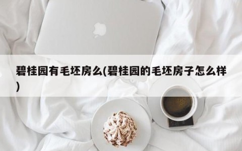 碧桂园有毛坯房么(碧桂园的毛坯房子怎么样)