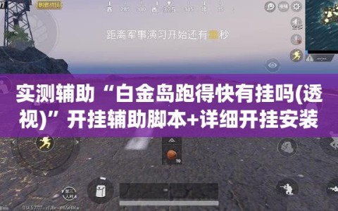 实测辅助“白金岛跑得快有挂吗(透视)”开挂辅助脚本+详细开挂安装教程