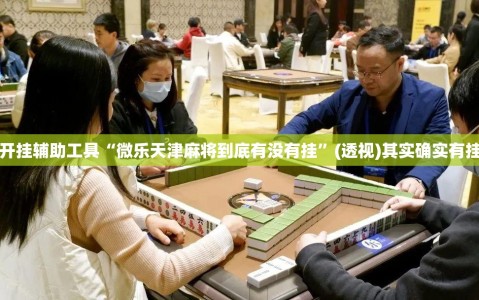 开挂辅助工具“微乐天津麻将到底有没有挂”(透视)其实确实有挂